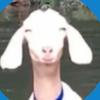 Profile Picture of Max Thomson (@@max.thomson06) on Tiktok