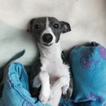 Profile Picture of 용광로 (@park540) on Instagram