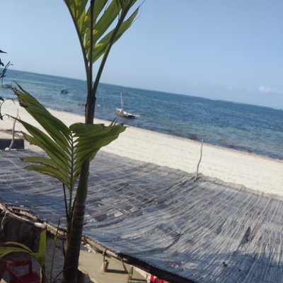 Profile Picture of Jamila James 12 (@jamilajames121) on Twitter