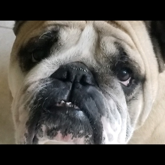 Profile Picture of Stacey Fouche (@772gammy) on Poshmark