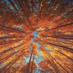 Profile Picture of Marc Monaghan (@marcmonaghanbusiness) on Instagram