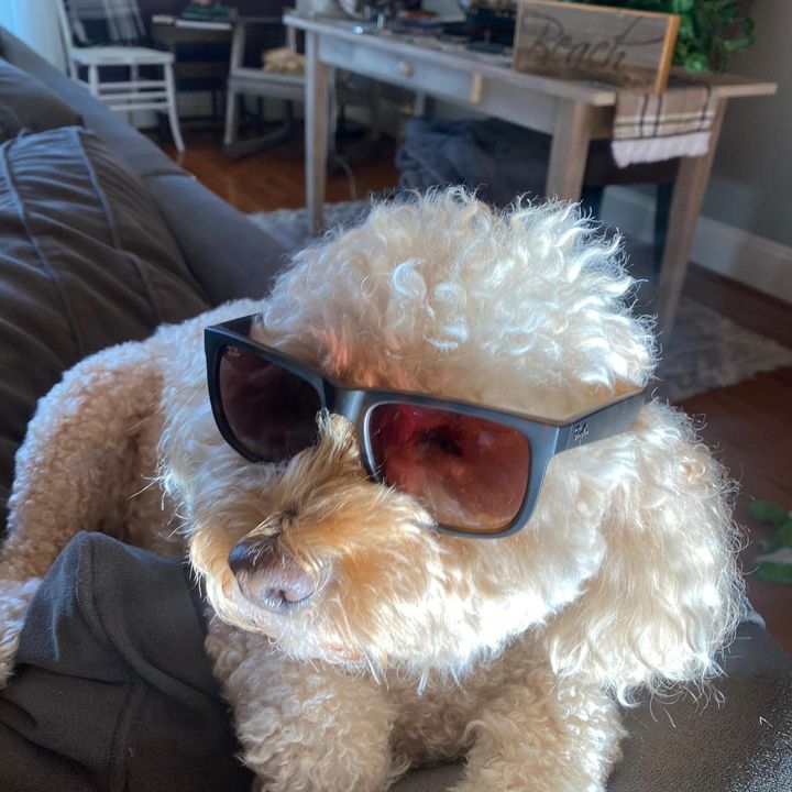 Profile Picture of Jimmy_Reagan (@jimmy_reagan) on Tiktok