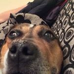 Profile Picture of Harvey James Stiff (@harveyjamesstiff) on Instagram