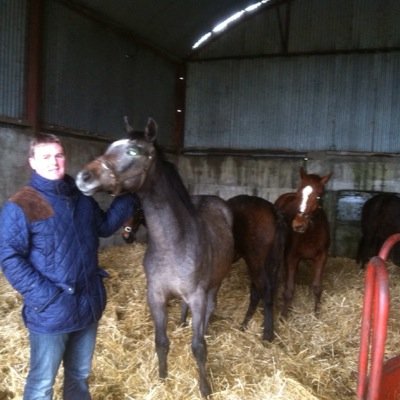 Profile Picture of Maurice Nolan (@maur775) on Twitter