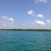 Alex Navas - Youtube Profile Picture of Alex Navas (@alexnavas2802) on Youtube