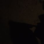 Profile Picture of Daniel Dimarco (@dimarco413) on Instagram