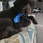 Profile Picture of Sue Macgregor (@sue.macgregor.2025) on Facebook