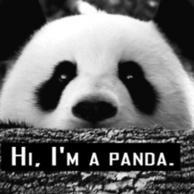 Profile Picture of John Keo (@JohnKaes) on Twitter