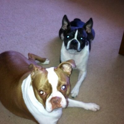 Profile Picture of Steven J Kaczmarek (@KAZMAN65) on Twitter