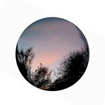 Studio Gary Fisher - Instagram Profile Picture of Studio Gary Fisher (@studiogaryfisher) on Instagram