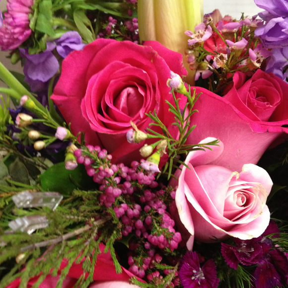 Jacqui Caisse - Poshmark Profile Picture of Jacqui Caisse (@jacquic) on Poshmark