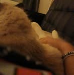 Profile Picture of Barbara Duramou (@Barbara-Duramou) on Facebook