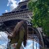 Profile Picture of Amanda Weiss (@@amandawplease) on Tiktok
