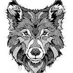 Profile Picture of Tommy Wolf (@tommywolf) on Flickr