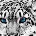 Profile Picture of Kevin Flohr (@kevin.flohr.161) on Facebook