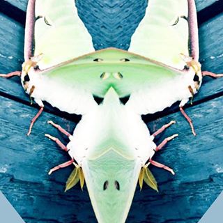 Jeremy Harwell - Facebook Profile Picture of Jeremy Harwell (@jeremy.harwell.14) on Facebook