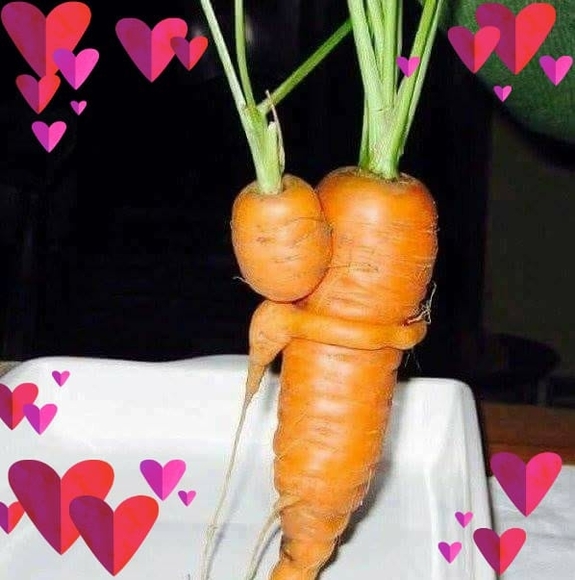 Profile Picture of Edi Baumann (@edibaumann310) on Poshmark