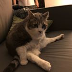 Profile Picture of Jeremy Melton (@jeremy.melton) on Instagram