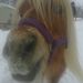 Profile Picture of Mandy Craddock (@mandycraddock77) on Pinterest