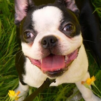 Profile Picture of Callista Hall (@CallistaHall) on Twitter