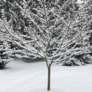 Profile Picture of Truman Allen (@truman.allen.77) on Facebook