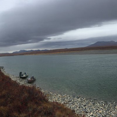 Profile Picture of Joni R. Onalik (@OnalikJoni) on Twitter