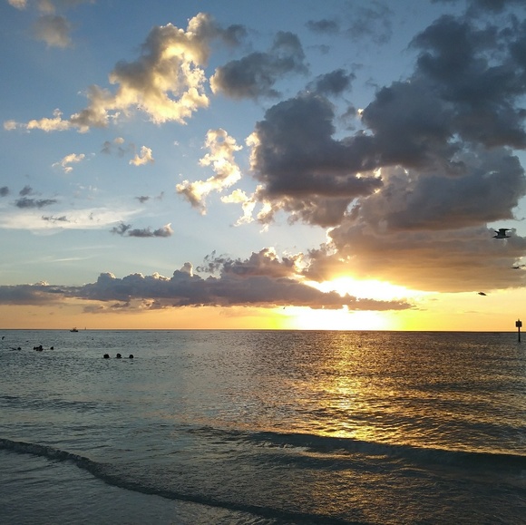 Profile Picture of Omara Consuegra (@omaraconsuegra) on Poshmark