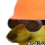 Profile Picture of Paul/Trey (@_paullatour) on Instagram