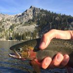 Profile Picture of Patrick Kraemer (@pskraem95) on Instagram