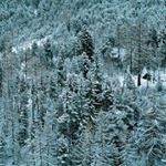 Profile Picture of Paul Wallington (@paul_wallington) on Instagram