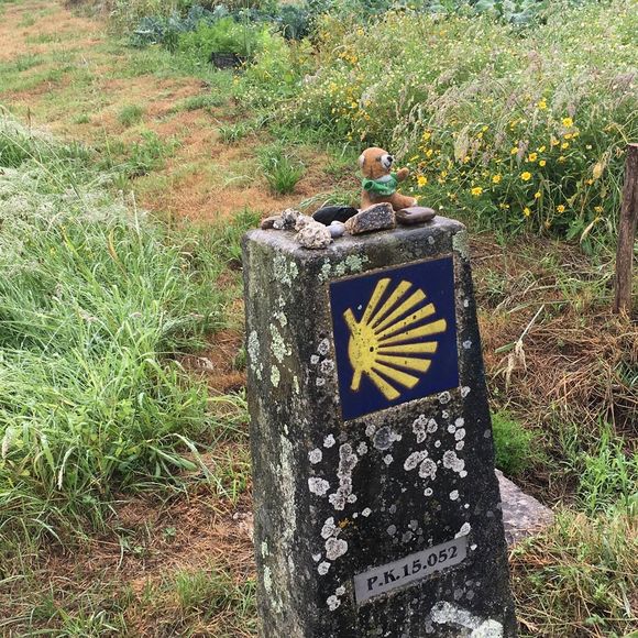 Profile Picture of Megan Alvis (@mhealyalvis) on Poshmark