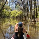 Profile Picture of Meagan Chase 🌳 Adventurer (@chasedownadventure) on Instagram