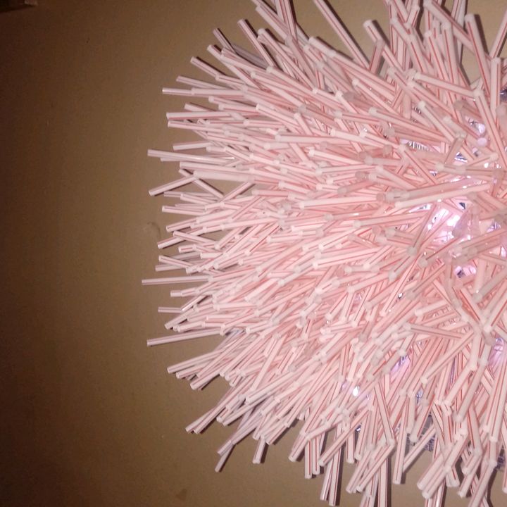 Profile Picture of pamella.anderson4321 (@pamelareimer23) on Tiktok