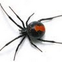 Profile Picture of Chris Maltby (@chris-maltby-3) on Quora