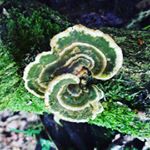 Profile Picture of Edward Wagner (@_edward_wagner) on Instagram