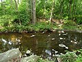 Profile Picture of Naamans Creekon Wikipedia