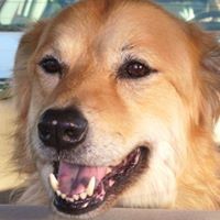 Profile Picture of Michael Sollenberger (@michael-sollenberger-3) on Quora