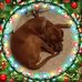 Profile Picture of Ernie Popp (@ernie.popp.7) on Facebook