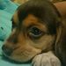 Profile Picture of Kim Sherrer (@kasherrer) on Pinterest