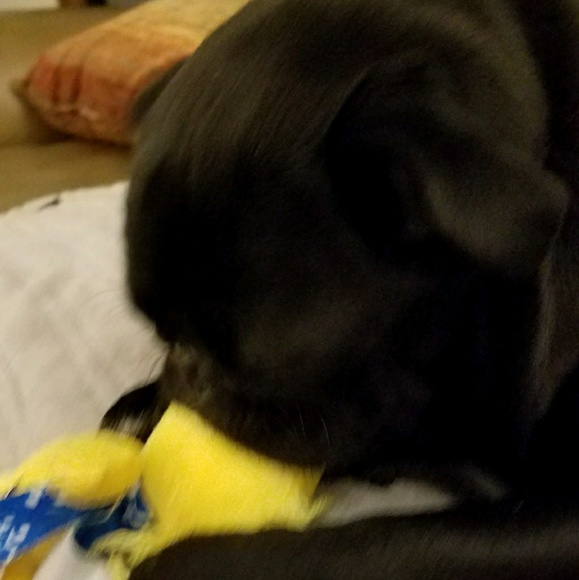 Profile Picture of Janet Howell (@amicahowell) on Poshmark