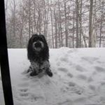 Profile Picture of David Chauvette (@chauvettedavid) on Instagram