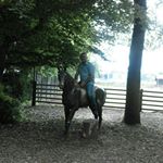 Profile Picture of Boban Jovanovic (@boban.jovanovic.9210) on Instagram