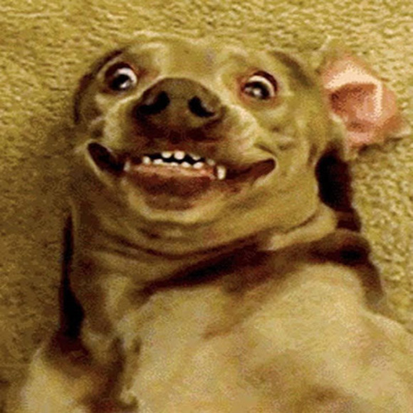 Profile Picture of Christopher Meraz (@christophermera) on Poshmark