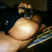 Sarah Walls - Youtube Profile Picture of Sarah Walls (@LOLurGAY99) on Youtube