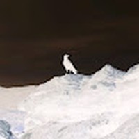 Profile Picture of Byron Meyer (@byron-meyer-14) on Quora