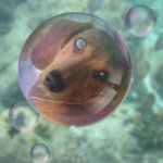 Profile Picture of Stacey Raymond (@shotzeandbella) on Instagram