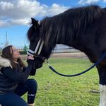 Profile Picture of Alison (@alison__rider) on Instagram