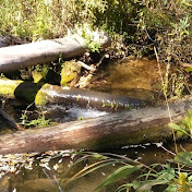 Profile Picture of Matthew Mott (@matthewmott9767) on Youtube