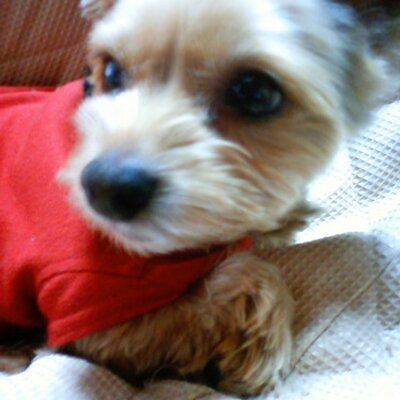 Profile Picture of Mari Takai (@marimo0909) on Twitter