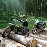 david filipek - Instagram Profile Picture of david filipek (@dejidfilipek) on Instagram